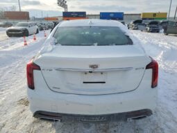 
										2024 Cadillac Ct5 full									