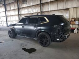
										2023 BMW Xm full									
