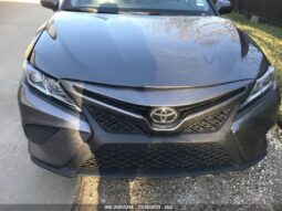 
										2019 Toyota Camry full									