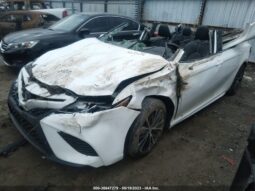 
										2019 Toyota Camry full									