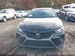 
										2019 Toyota Camry full									
