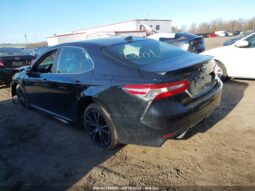 
										2020 Toyota Camry full									
