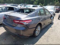 
										2019 Toyota Camry full									