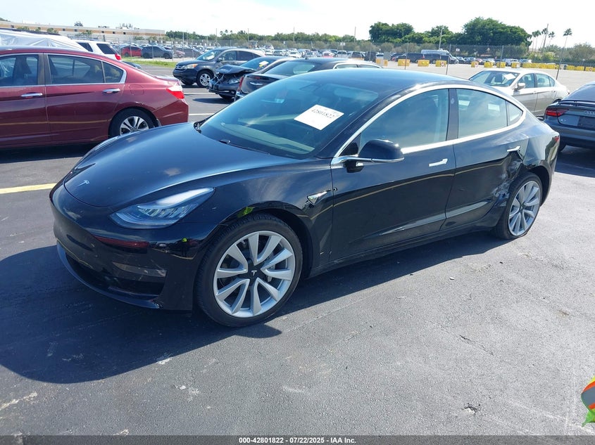 2019 Tesla Model 3
