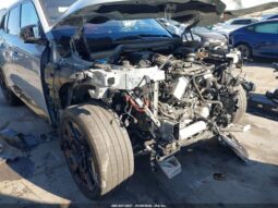 
										2025 BMW Xm full									
