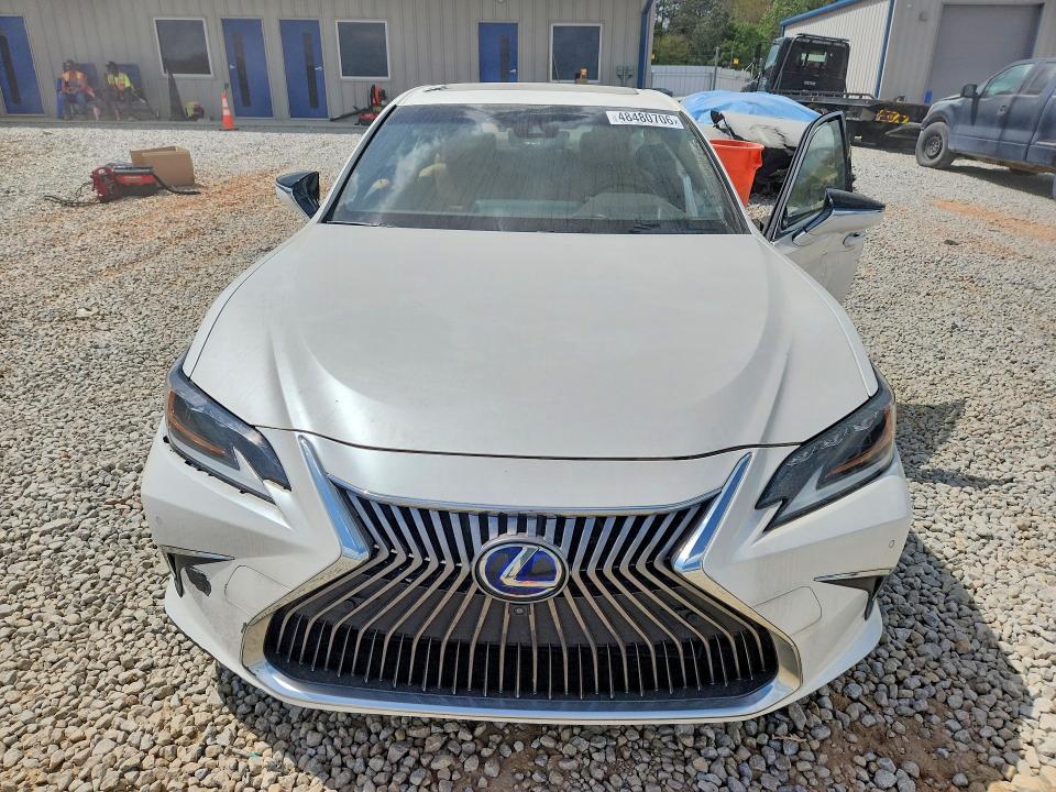 2019 Lexus ES