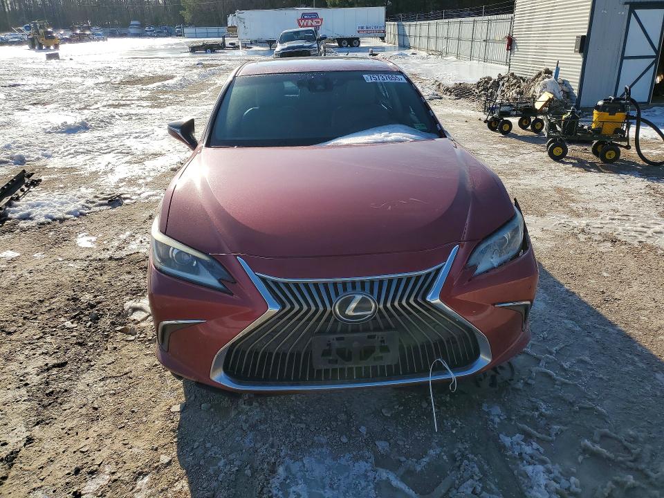 2019 Lexus ES
