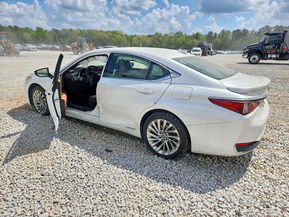 2019 Lexus ES