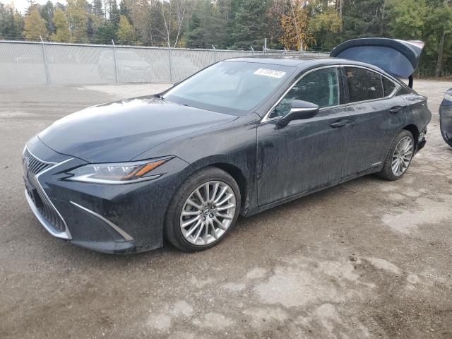 2019 Lexus Es300