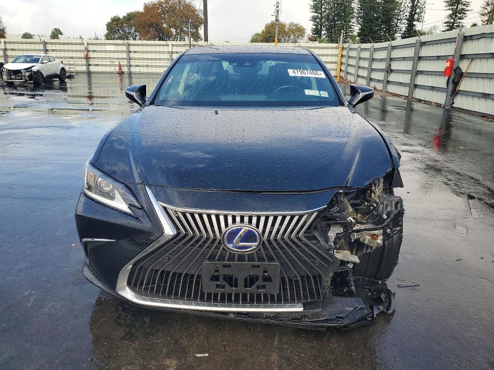 2020 Lexus ES