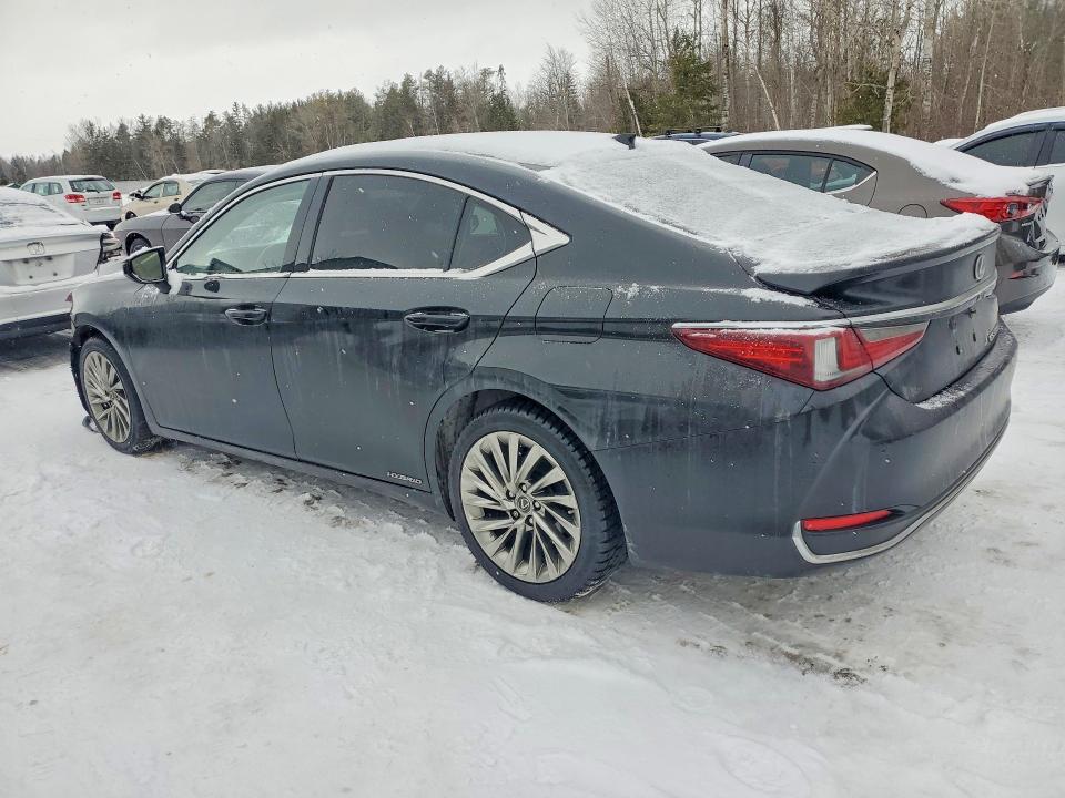 2019 Lexus ES