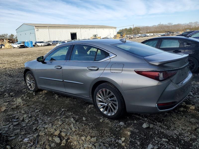 2020 Lexus ES