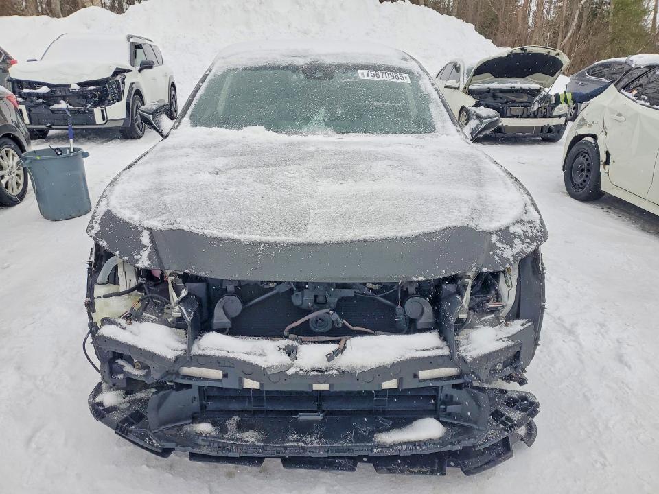 2019 Lexus ES