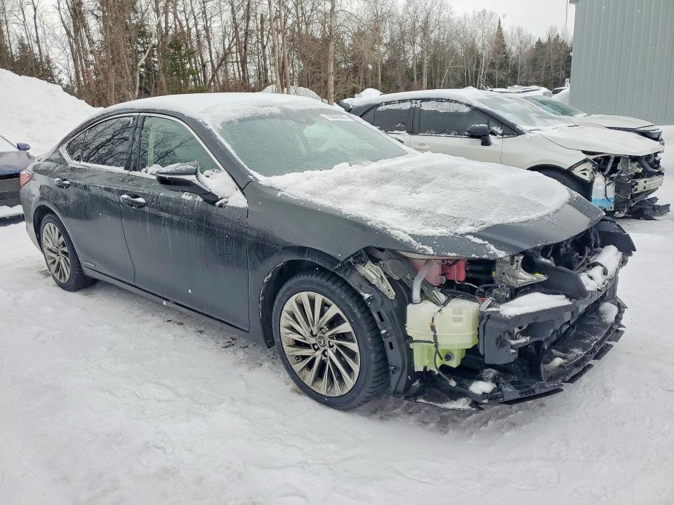 2019 Lexus ES