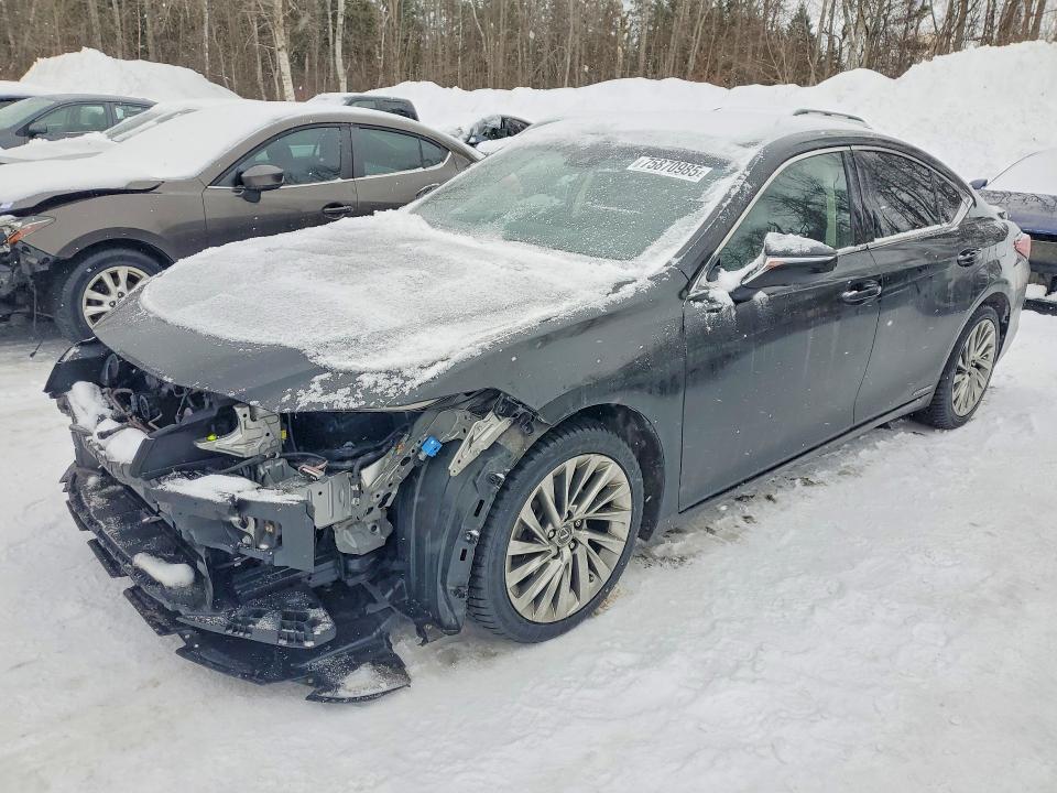 2019 Lexus ES