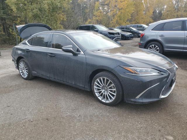 2019 Lexus Es300