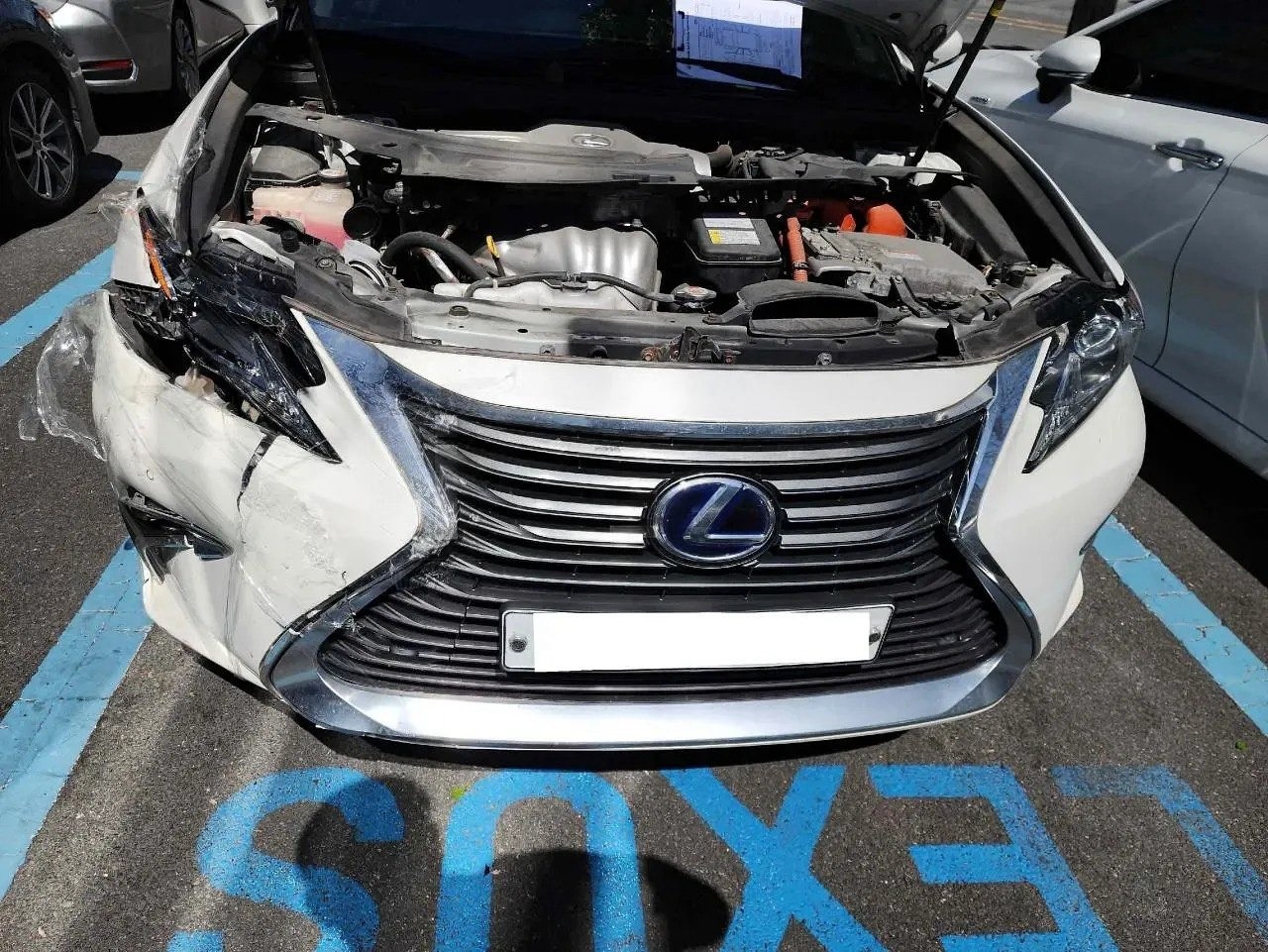 LEXUS ES300h