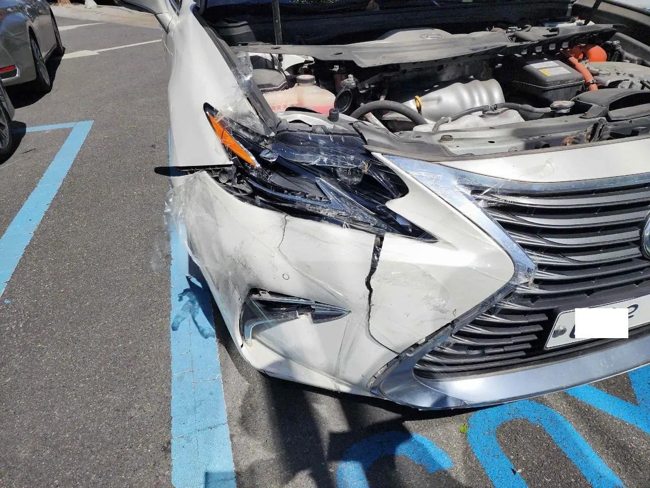 LEXUS ES300h