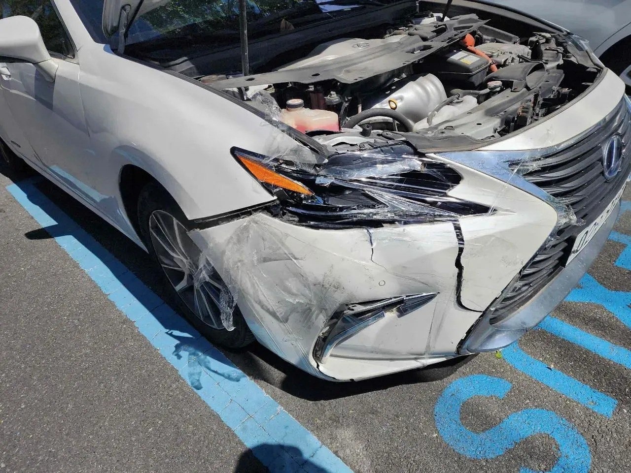 LEXUS ES300h
