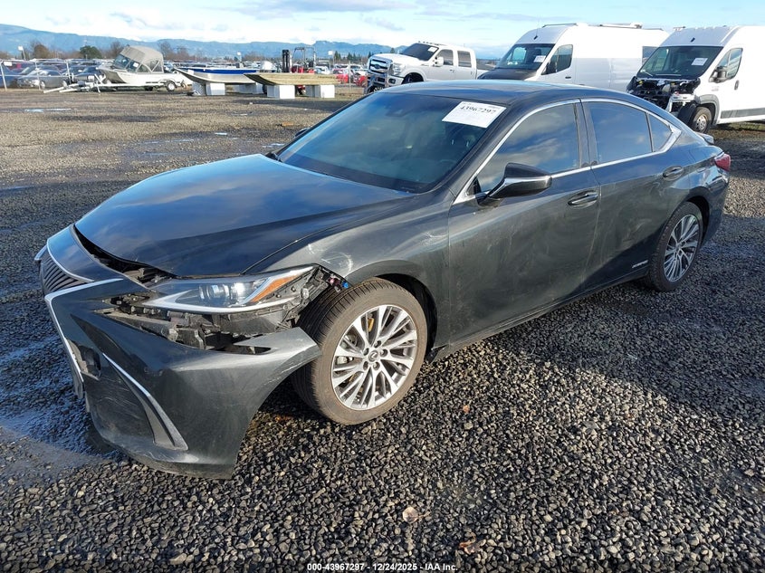 2019 Lexus ES
