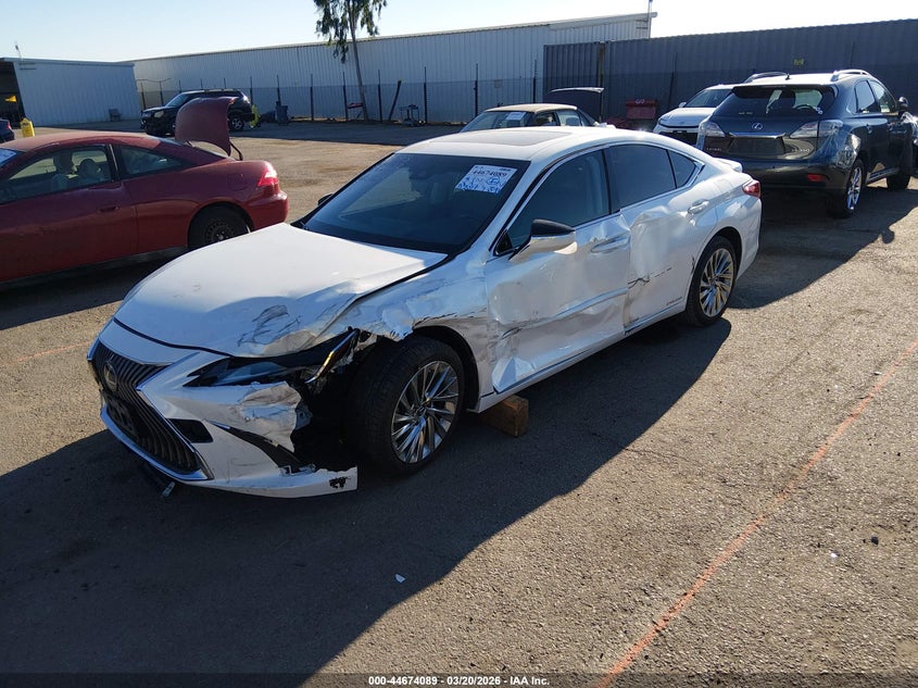 2019 Lexus ES